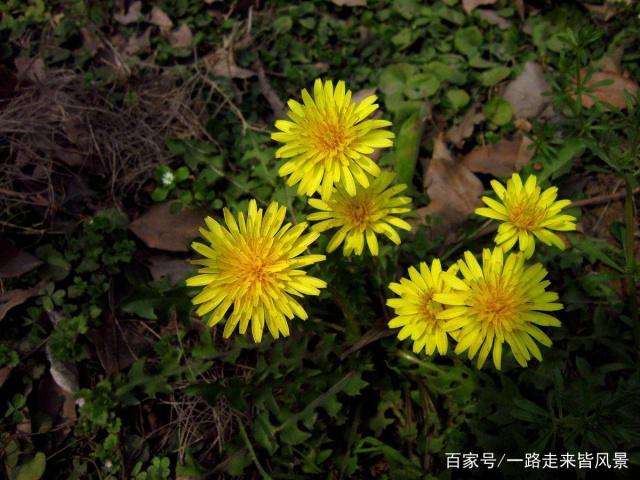 {捕魚機}(六间房网站) {捕魚機}(六间房网站)